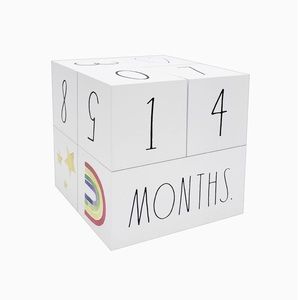 NEW Rae Dunn Baby Milestone Blocks White